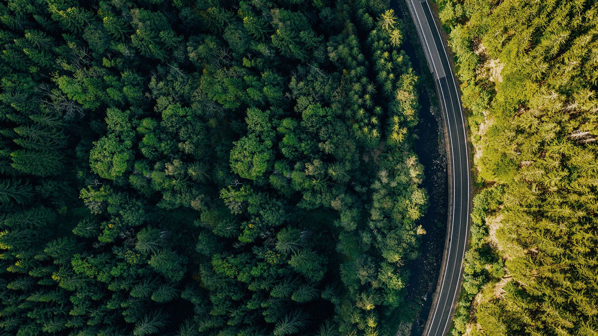 sustainability